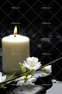 تصویر با کیفیت شمع بزرگ سفید در کنار شکوفه سفید